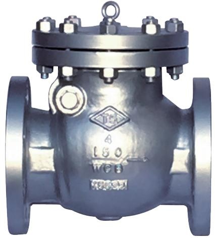 Check Valve Class 600